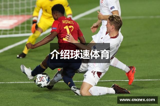介绍球速体育